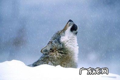 这才是男人该有的样子完整版 男人一定要有男人样