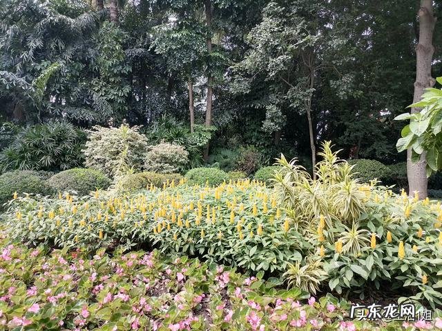 做手术时全麻是什么感觉?