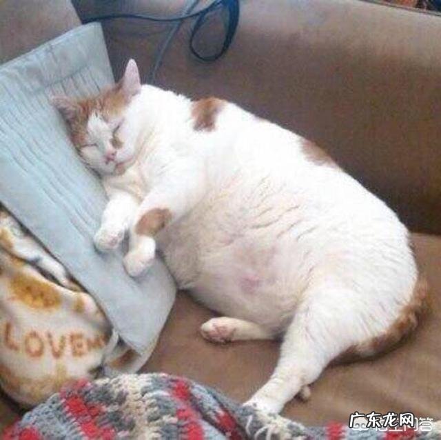 生完孩子后,虎背熊腰的,不好买衣服,怎么减背部的肉肉