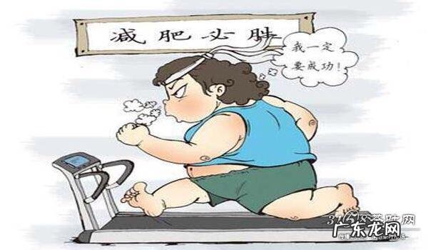 减肥期间,早餐吃两个红薯、两个小鸡蛋和一个番茄,会多吗?