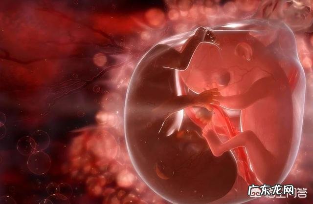 怀孕早期不吃肉类影响胎宝宝发育吗