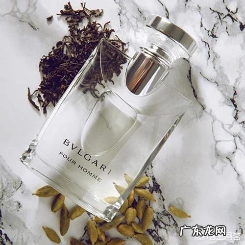 有哪些女生也可以用的好闻男香值得推荐