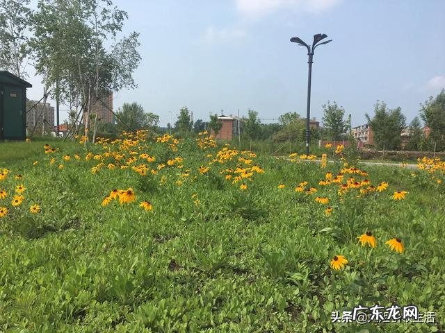 对于现在的农村,你整体上有哪些印象?有什么看法?