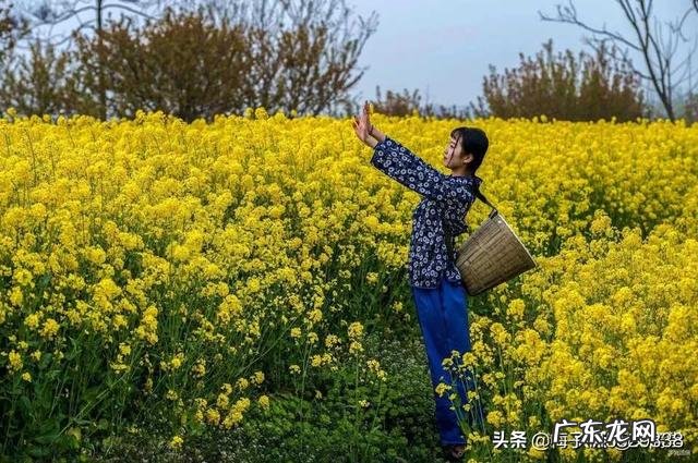 对于现在的农村,你整体上有哪些印象?有什么看法?