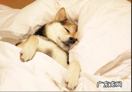 阳光底下跑步是不是更容易流汗、减肥效果更好?