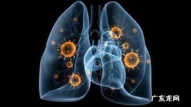 为什么日剧在国内的热度比不上韩剧?