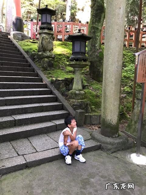 奇怪!为啥最近日本的新冠疫情如此平稳?感染人数远低于韩国?