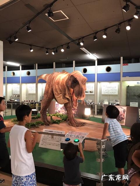 奇怪!为啥最近日本的新冠疫情如此平稳?感染人数远低于韩国?