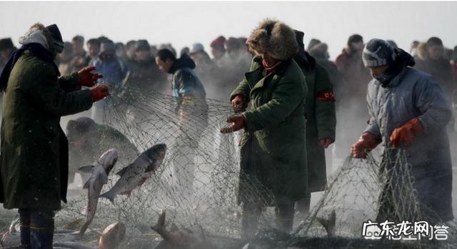 查干湖最大的鱼王有多少斤？