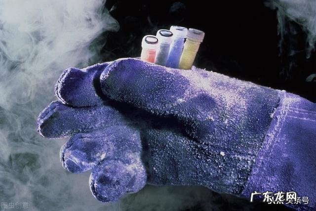 火星男孩“波力斯卡”是骗子吗