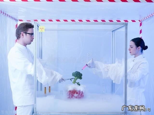 火星男孩“波力斯卡”是骗子吗