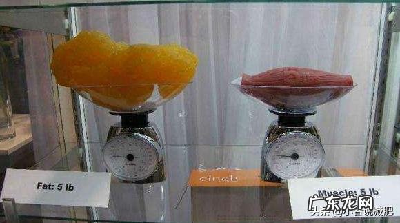 有哪些营养减肥的方法吗?