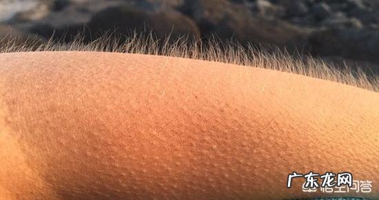 皮肤病介绍,皮肤病是什么病?