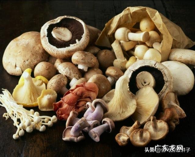 如何做手撕杏鲍菇才能更入味