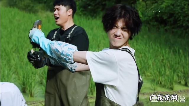 如何看待陈赫两次参加《向往的生活》都点出\”天价菜品\”这一现象