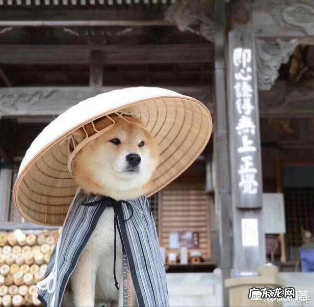 你身边有这样的人吗完全没有自己的思想，什么话都听别人的