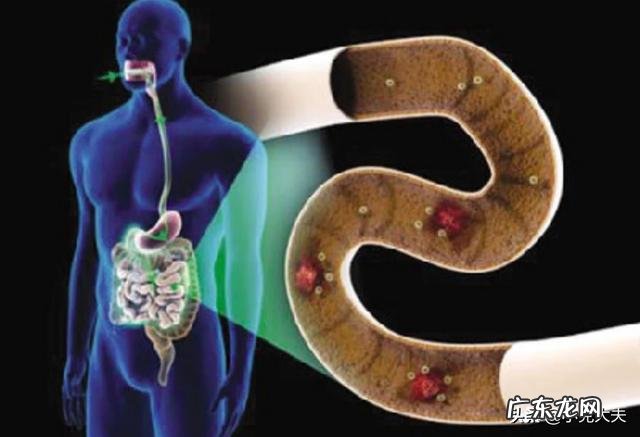 怎样增强免疫力最快最有效?