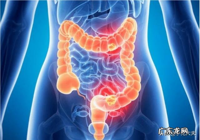 怎样增强免疫力最快最有效?