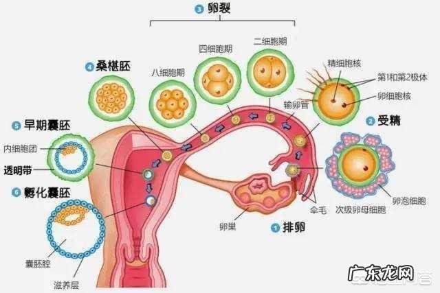40岁女人没有工作存款和孩子,一直嫁不出去是什么感受?