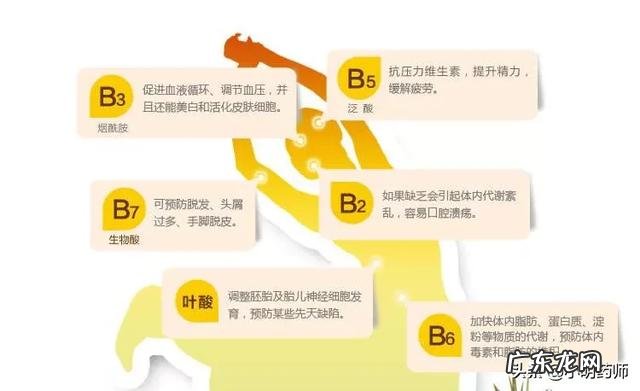 缺硒和维生素B会引起脂肪肝吗