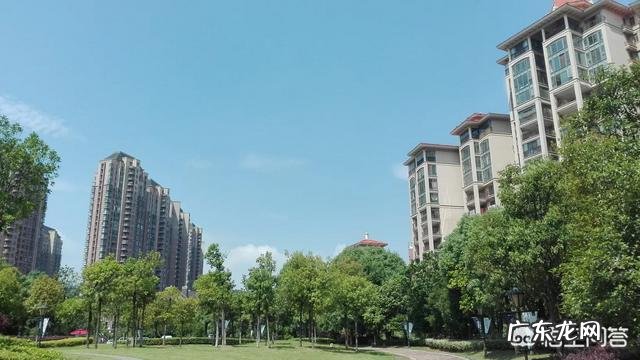 国际包裹被海关扣了,怎么办