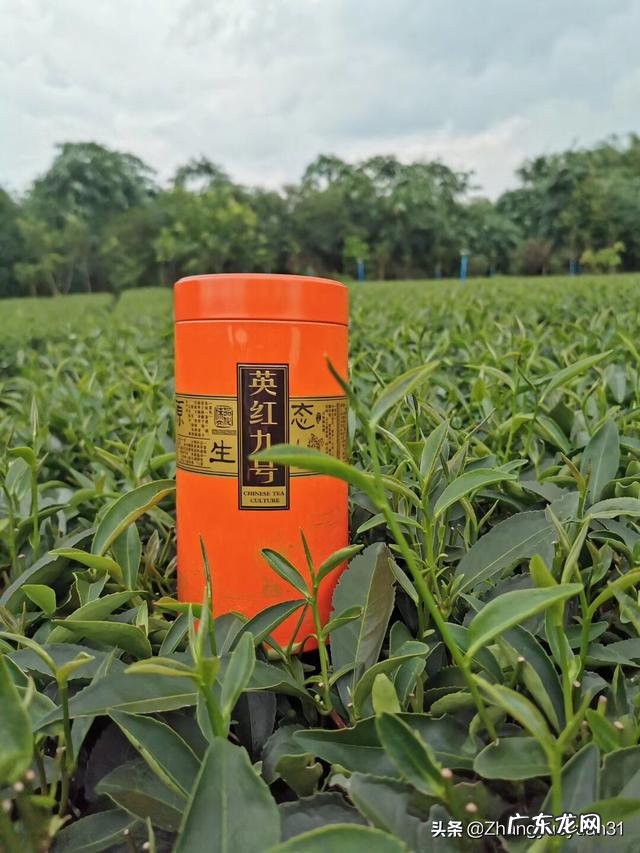 在广东,别人给你倒茶,为什么要敲三下桌面,有什么讲究吗?