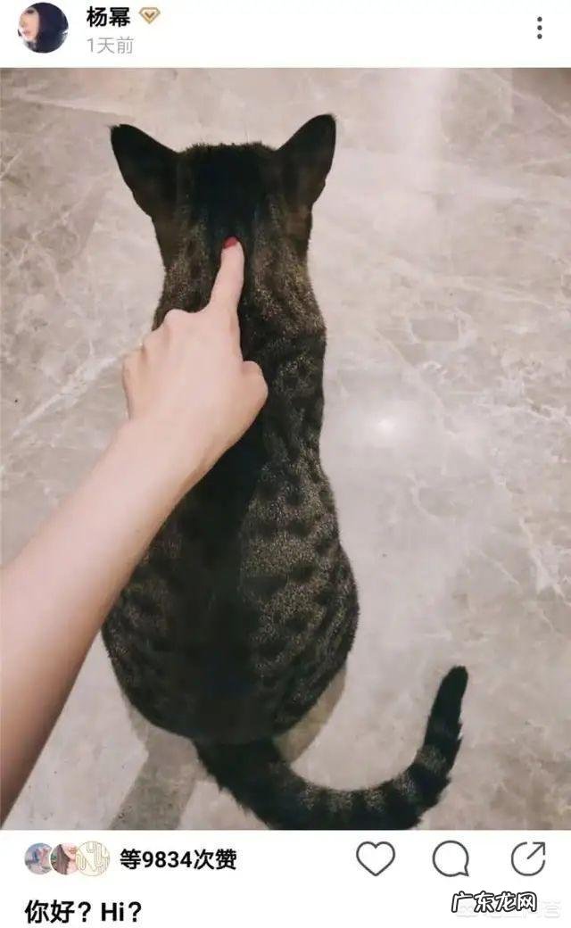 杨幂魏大勋同款文案，引来网友猜测，真的只是朋友关系吗