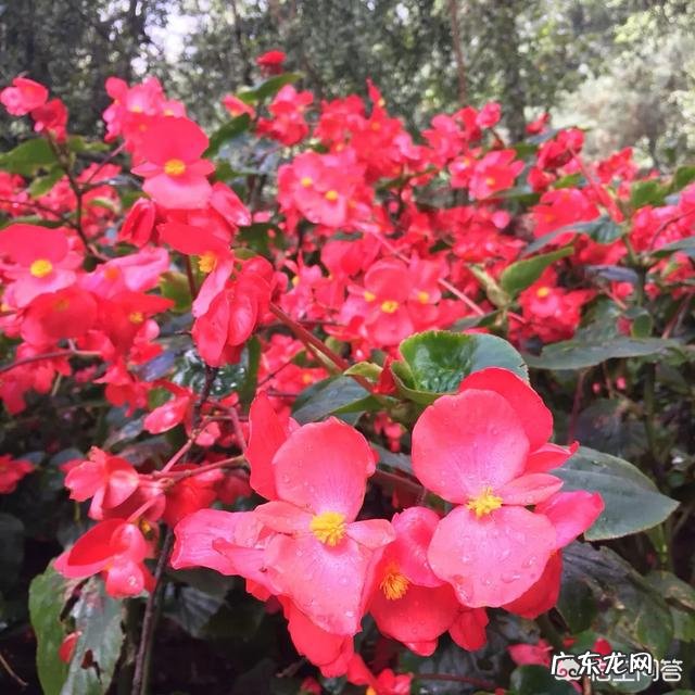 常年湿气重的人呢,应该如何祛痰湿