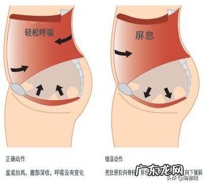 腹压大会对盆底肌造成伤害吗