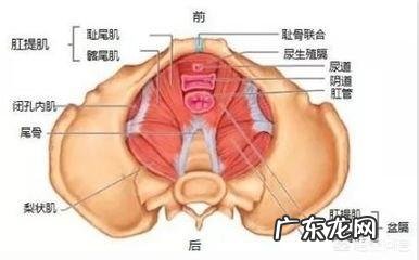 保养很好的四十岁女人,哪些男人会喜欢?