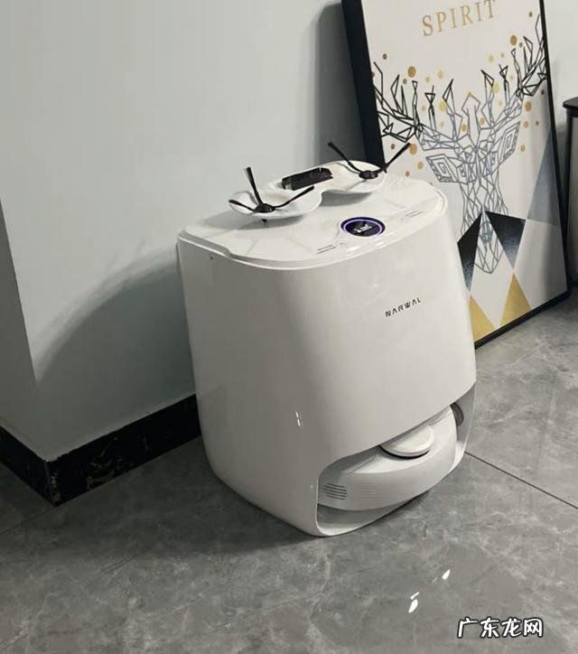 每日清洁的家务安排 每日清洁的家务安排