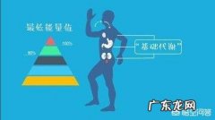 如何保持每天较高的身体代谢消耗？