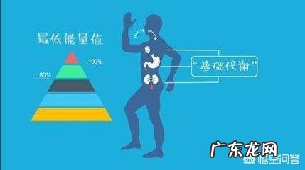 如何保持每天较高的身体代谢消耗?