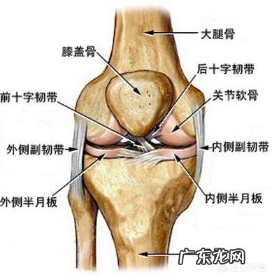 膝关节伤了,有什么不用膝关节可以锻炼身体的运动