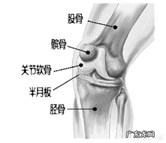 膝关节伤了,有什么不用膝关节可以锻炼身体的运动