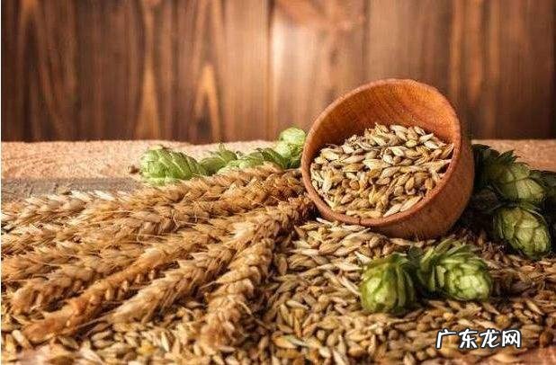 一直吃免疫抑制剂会造成病毒感染吗