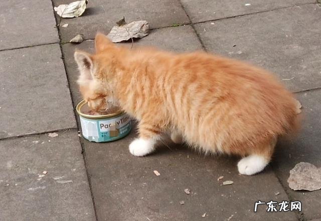 孩子20岁了太懒惰不爱做家务 天天上班带娃做家务懒得打扮