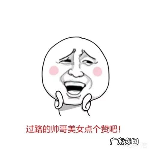 如果“平头哥”和比特犬打起来,谁能赢?