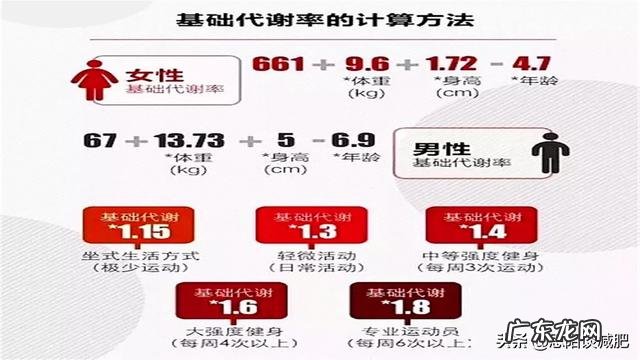 为什么减肥每天要吃够基础代谢?