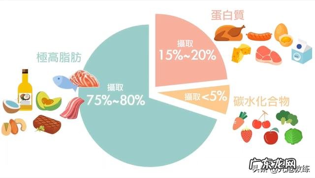 什么是生酮饮食,真的能减肥吗