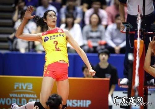 若所有动物都变成200斤,谁会是最无敌的存在?