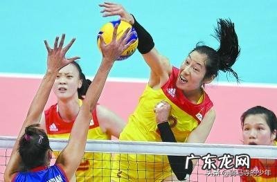 若所有动物都变成200斤,谁会是最无敌的存在?