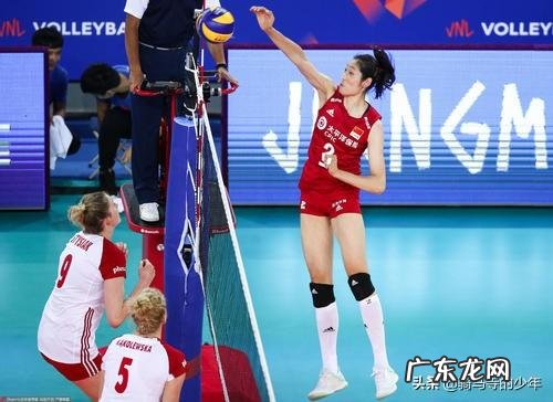 若所有动物都变成200斤,谁会是最无敌的存在?