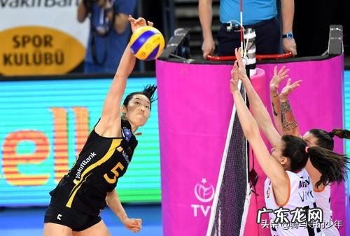 若所有动物都变成200斤,谁会是最无敌的存在?