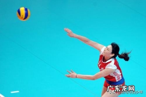 若所有动物都变成200斤,谁会是最无敌的存在?