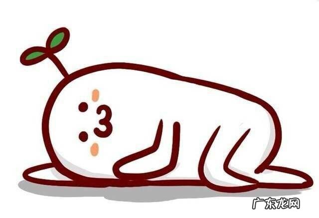 一日三餐里,是不是晚餐可以多吃点?