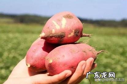 为什么有好的产品，却销不出去呢该怎么办