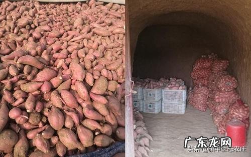 为什么有好的产品，却销不出去呢该怎么办