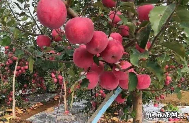 A股中的标普500纳指etf，等为什么会跟a股时间走？