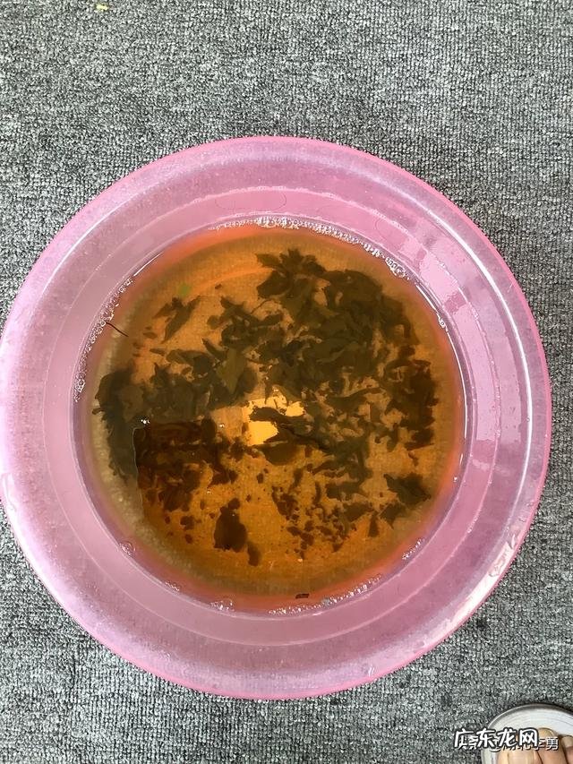 过期茶和喝完的剩茶怎么用